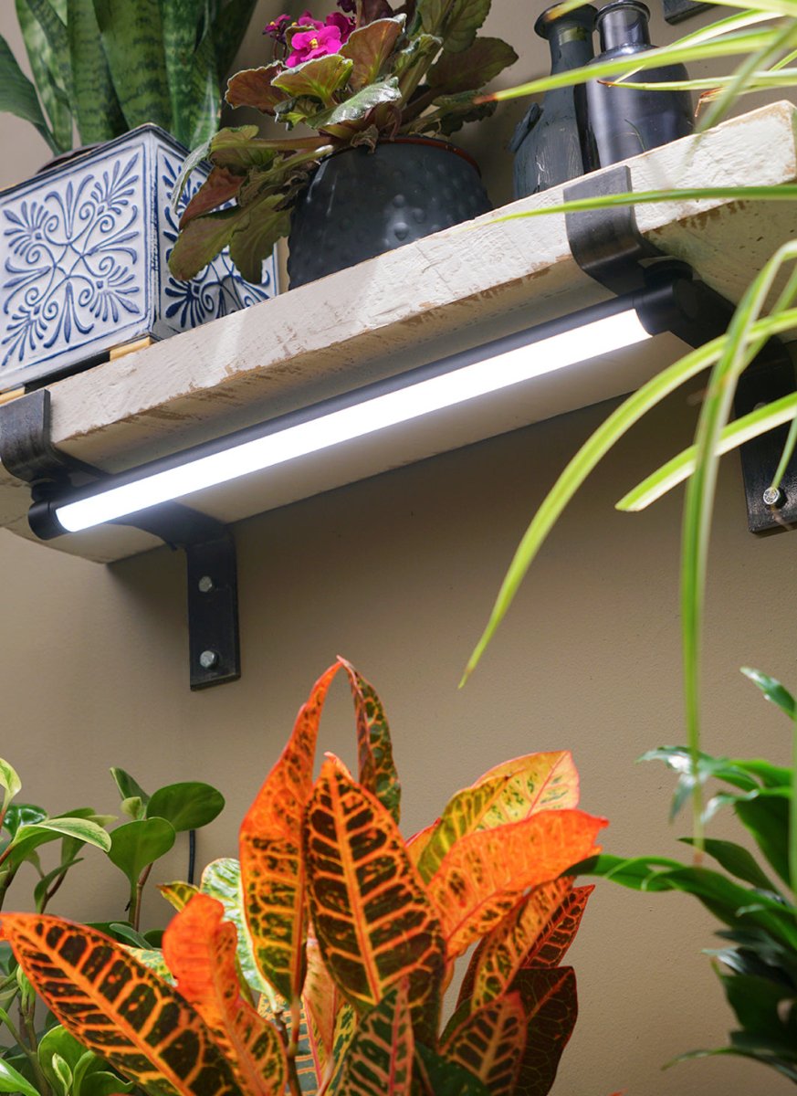  Soltech Solutions- Grove LED Grow Light