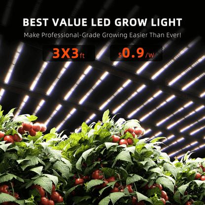  Spider Farmer G3000 300W Dimmable Full Spectrum LED Grow Light | High-Yield Solution