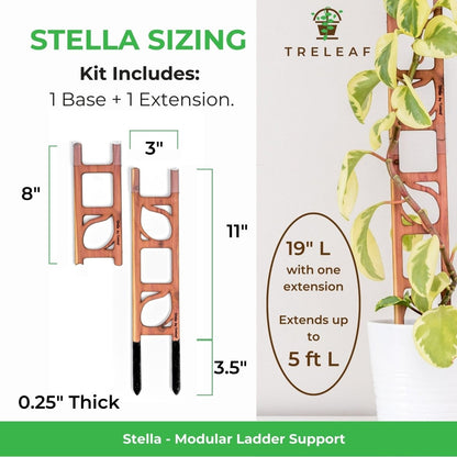 Stella Modular Plant Support & Trellis