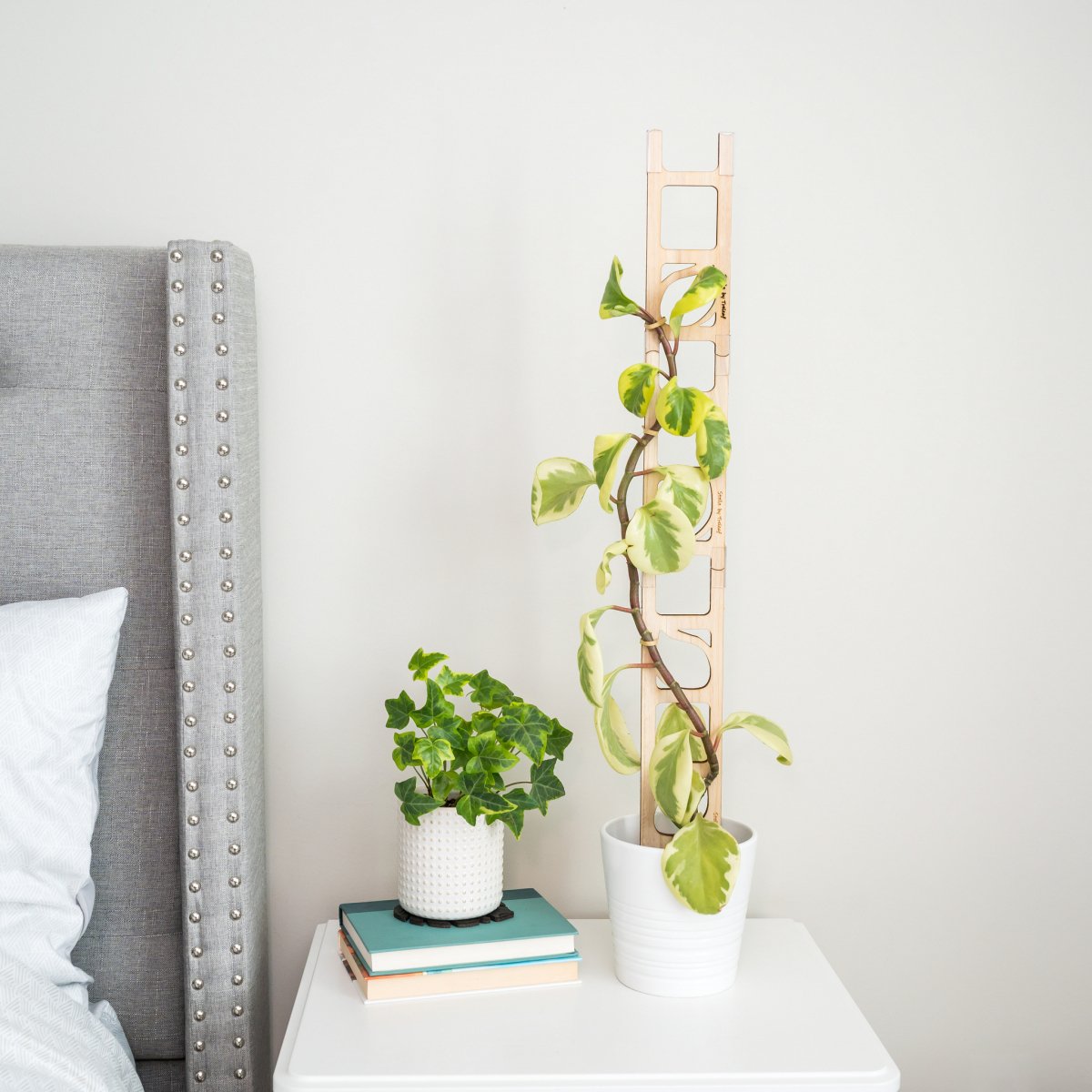  Stella Modular Plant Support & Trellis