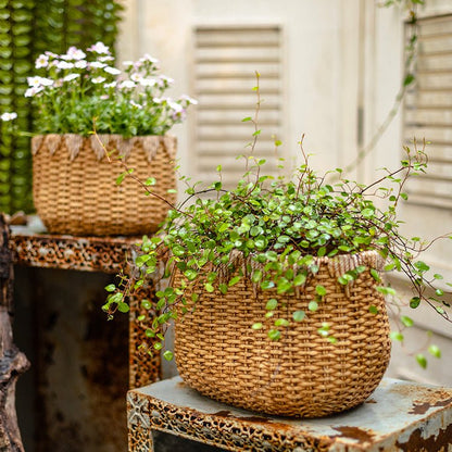  Straw Basket Cement Planter - Various Sizes