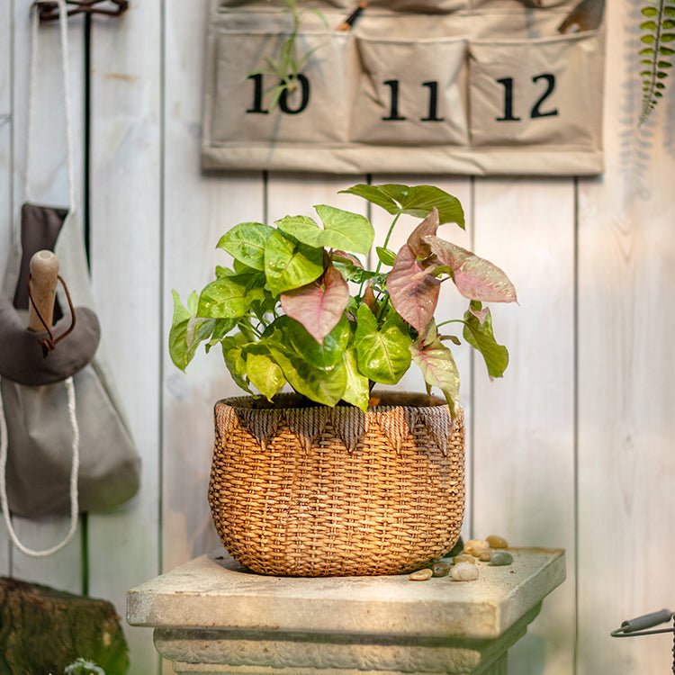  Straw Basket Cement Planter - Various Sizes