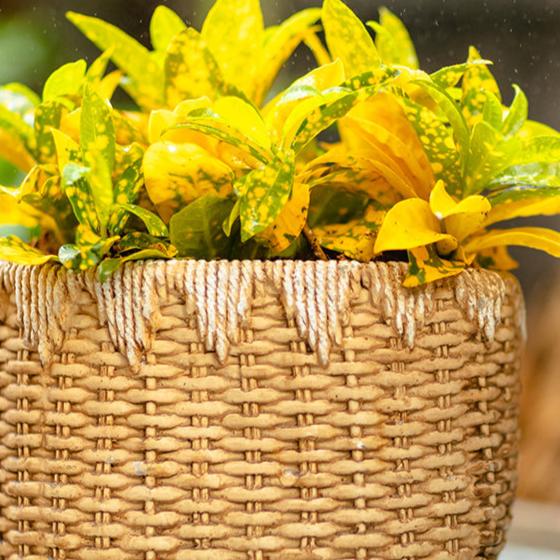  Straw Basket Cement Planter - Various Sizes