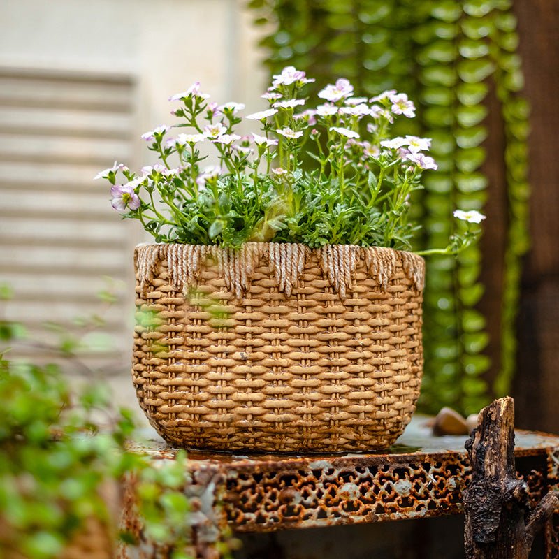  Straw Basket Cement Planter - Various Sizes