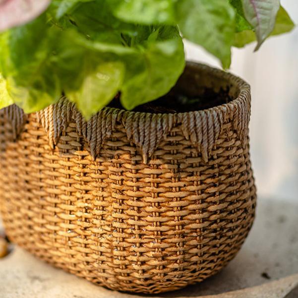  Straw Basket Cement Planter - Various Sizes