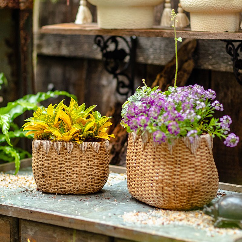  Straw Basket Cement Planter - Various Sizes
