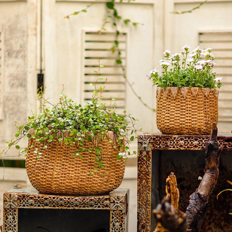  Straw Basket Cement Planter - Various Sizes