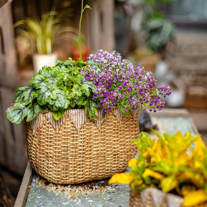  Straw Basket Cement Planter - Various Sizes