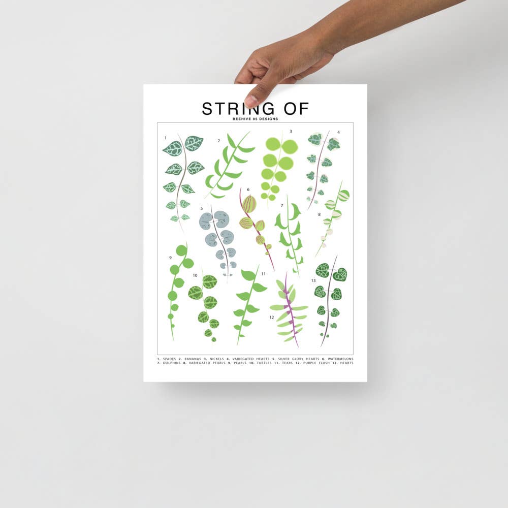  String Of Species ID Chart - Botanical Houseplant Art Print