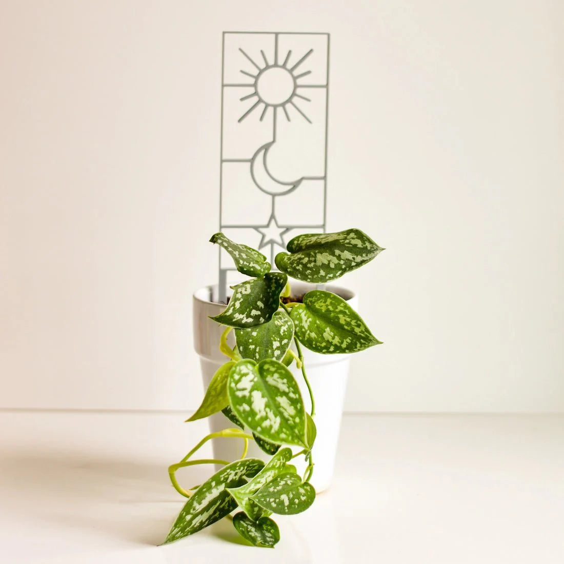  Sun, Moon & Star Houseplant Trellis