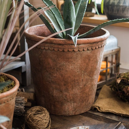  Terracotta & Concrete Planter Pot
