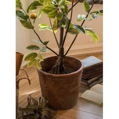  Terracotta & Concrete Planter Pot