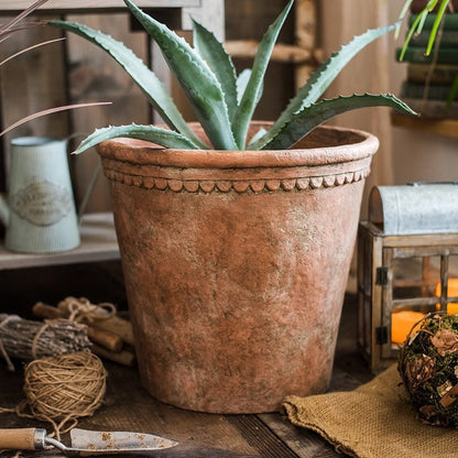  Terracotta & Concrete Planter Pot