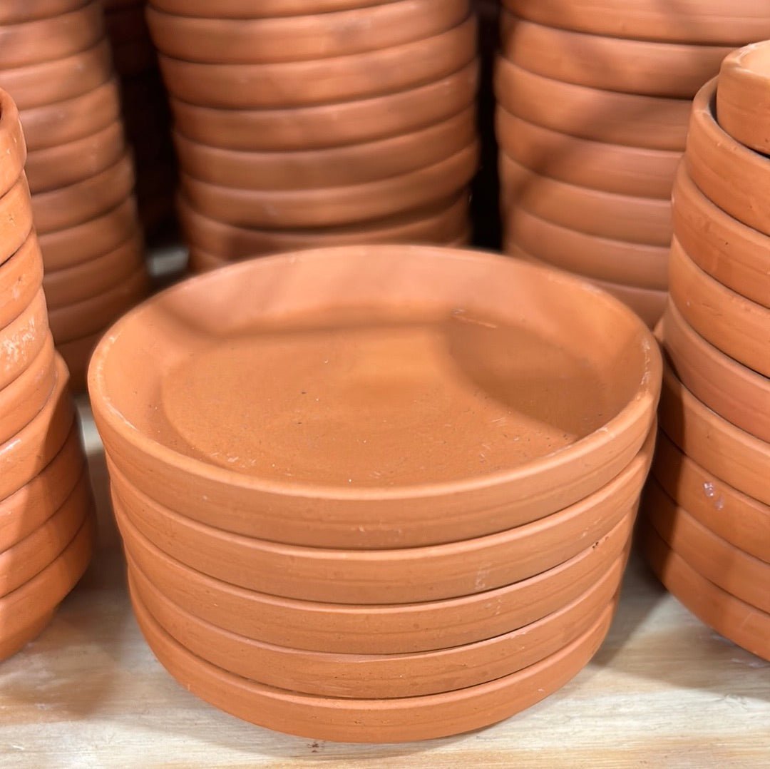  Premium German-Made Terracotta Saucers – Multiple Sizes For Every Pot