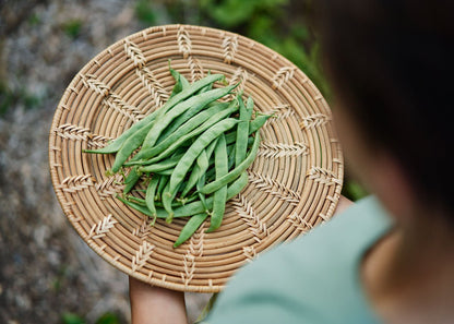  The Explorer: Rooted In America Heirloom Seed Collection – 6 Historic Varieties