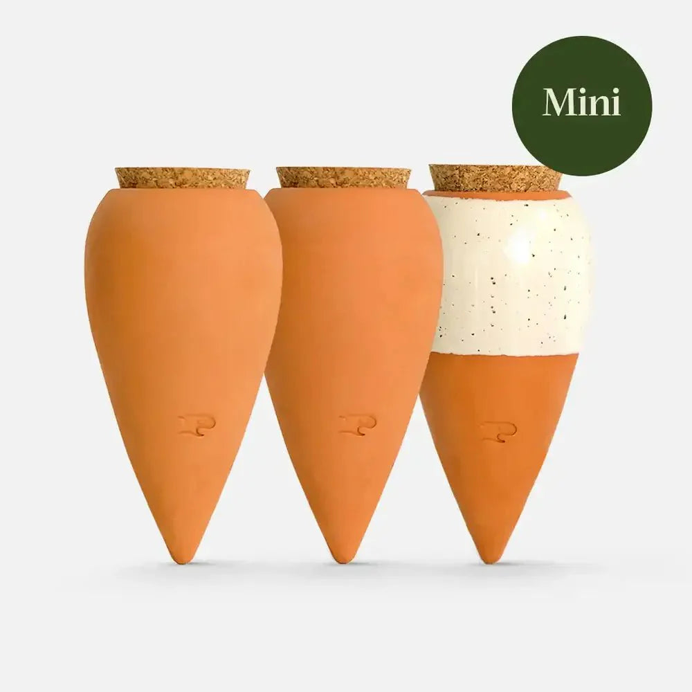  Trio Mini Ollas - The Iconics | Self-Watering Terracotta Plant Irrigators