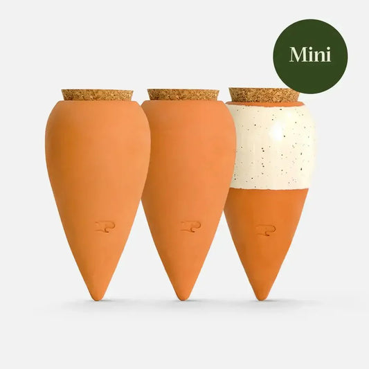  Trio Mini Ollas - The Iconics | Self-Watering Terracotta Plant Irrigators