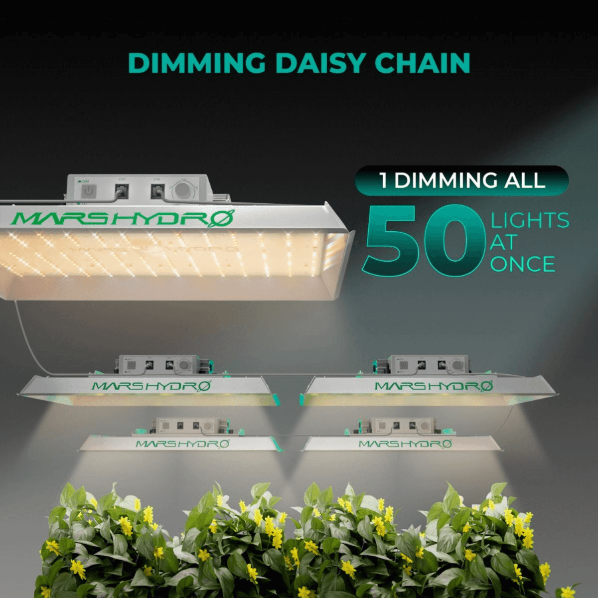  TS1000 LED Grow Light | Full Spectrum, Energy Efficient, Beginner-Friendly