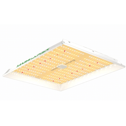  TS1000 LED Grow Light | Full Spectrum, Energy Efficient, Beginner-Friendly