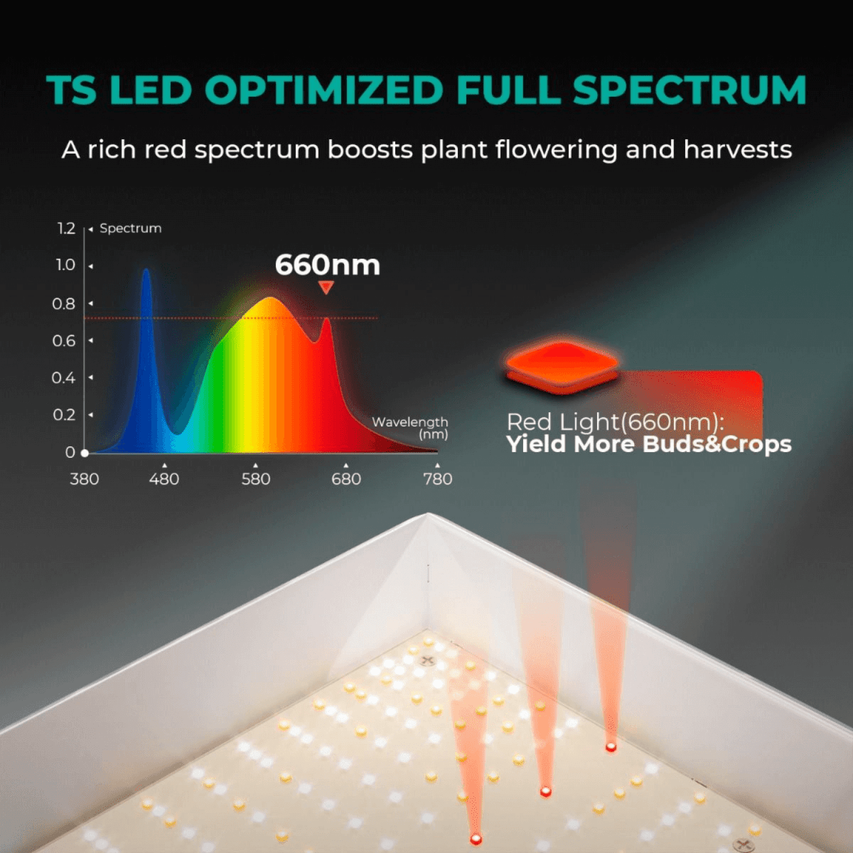  TS1000 LED Grow Light | Full Spectrum, Energy Efficient, Beginner-Friendly