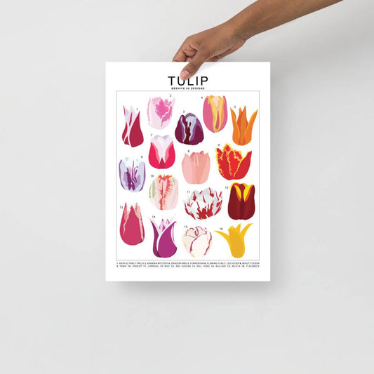  Tulip Species ID Chart - Botanical Floral Art Print
