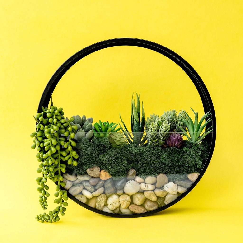  Wall Terrarium Kit | DIY Wall Art With Faux Succulents