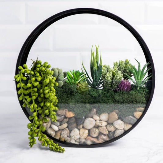  Wall Terrarium Kit | DIY Wall Art With Faux Succulents
