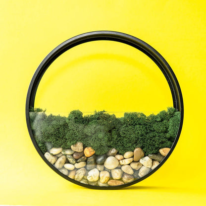  Wall Terrarium Kit | DIY Wall Art With Faux Succulents