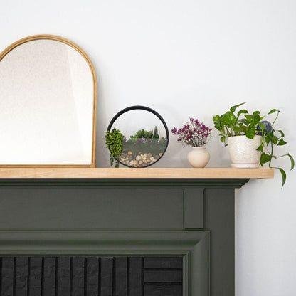  Wall Terrarium Kit | DIY Wall Art With Faux Succulents