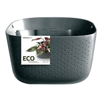  WallyGrow Eco Wall Planter – Charcoal Vertical Garden Planter