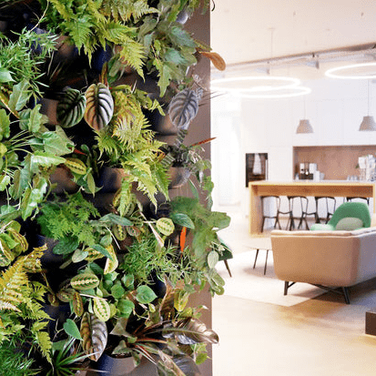  WallyGrow Eco Wall Planter – Charcoal Vertical Garden Planter