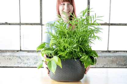  WallyGrow Eco Wall Planter – Charcoal Vertical Garden Planter