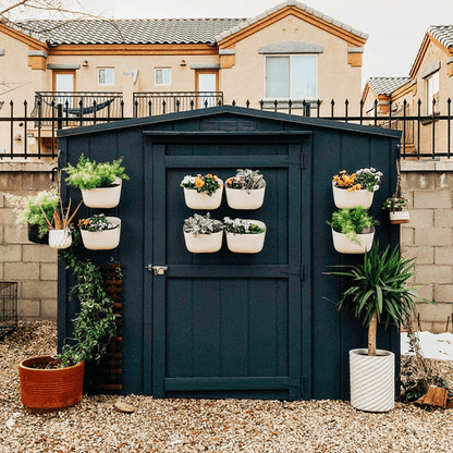  WallyGrow Eco Wall Planter – Oat Vertical Garden Planter For Modern Indoor Spaces