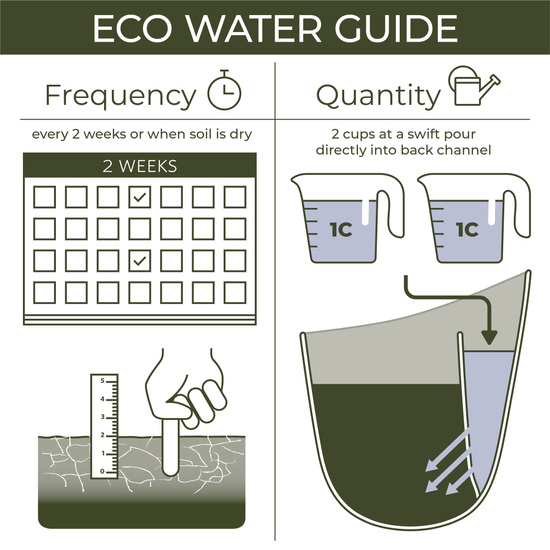  WallyGrow Eco Wall Planter – Rose Vertical Garden Planter