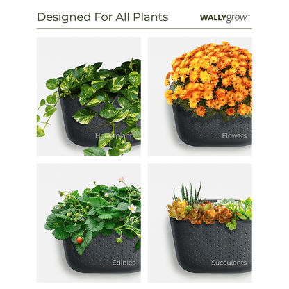  WallyGrow Eco Wall Planter – Rose Vertical Garden Planter