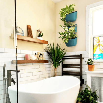  WallyGrow Eco Wall Planter – Teal Vertical Garden Planter For Indoor Walls