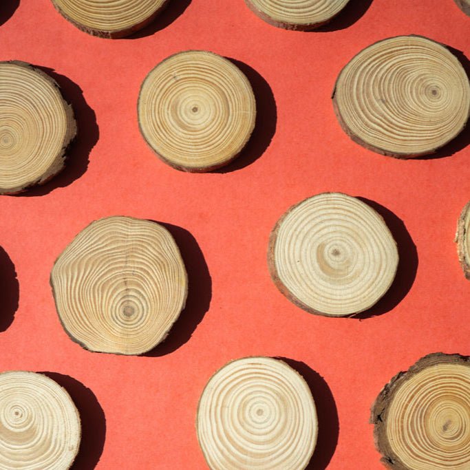  Winter Wood Slice Wreath Kit