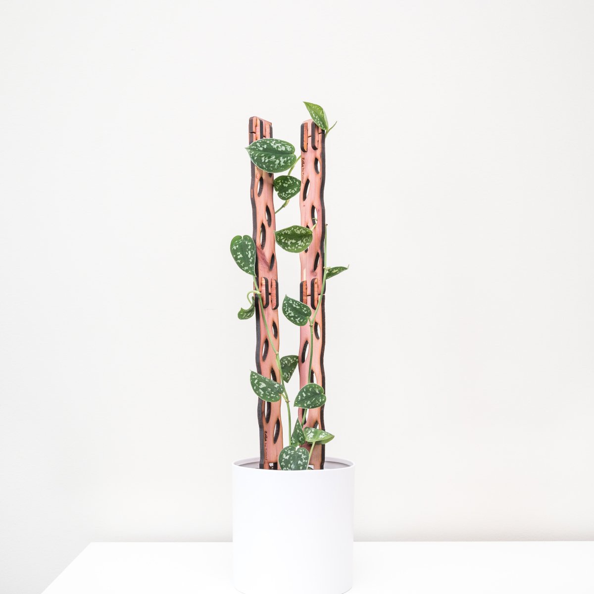  Wooden Extendable Plant Support & Trellis - Zella