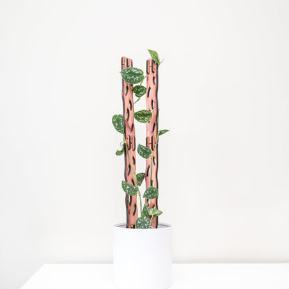  Wooden Extendable Plant Support & Trellis - Zella