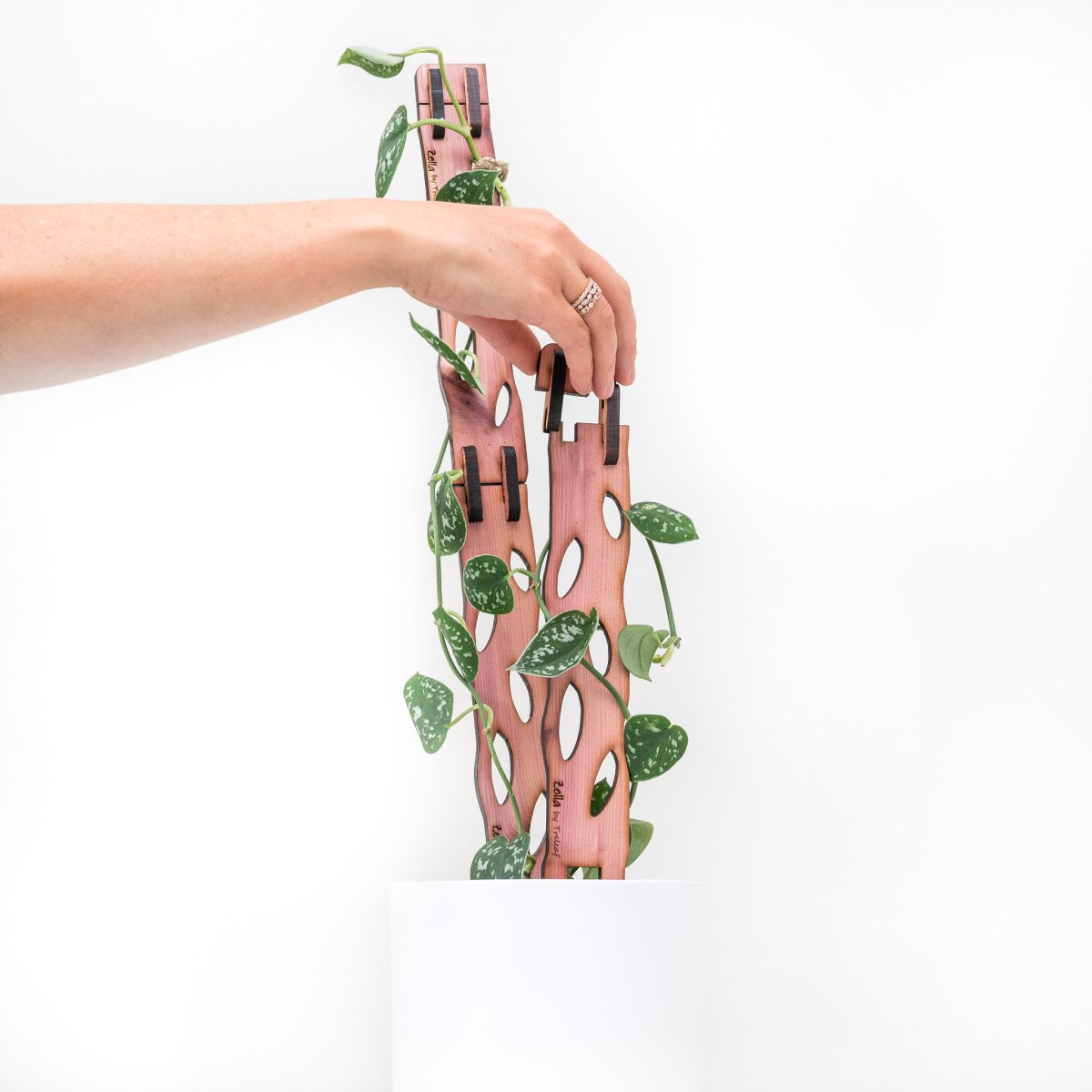  Wooden Extendable Plant Support & Trellis - Zella