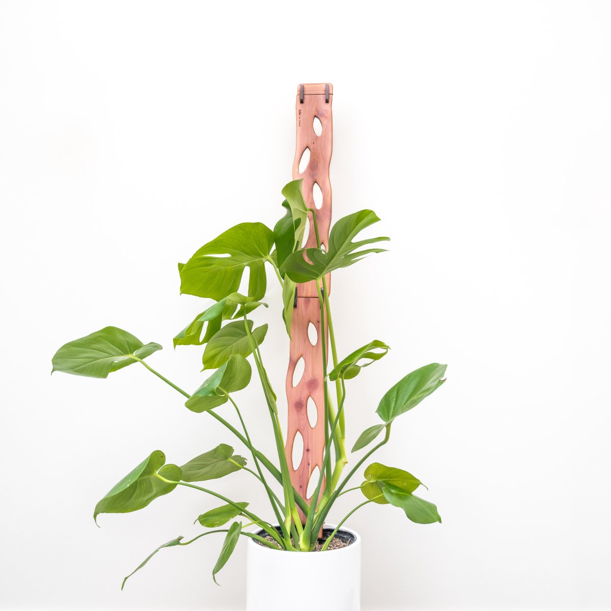  Wooden Extendable Plant Support & Trellis - Zella
