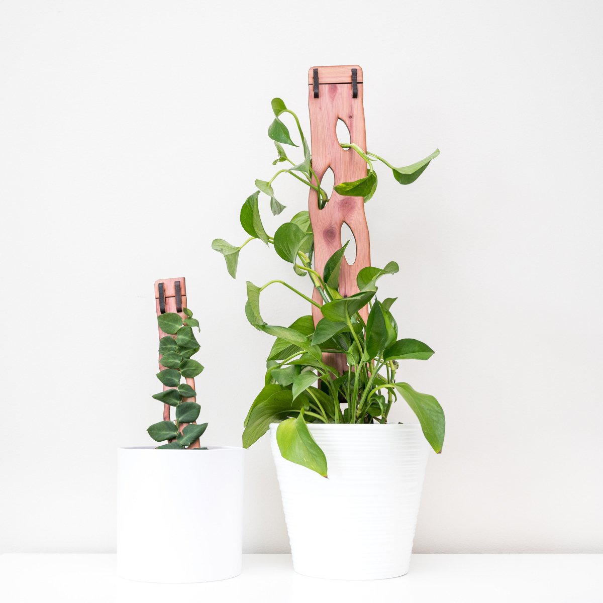  Wooden Extendable Plant Support & Trellis - Zella