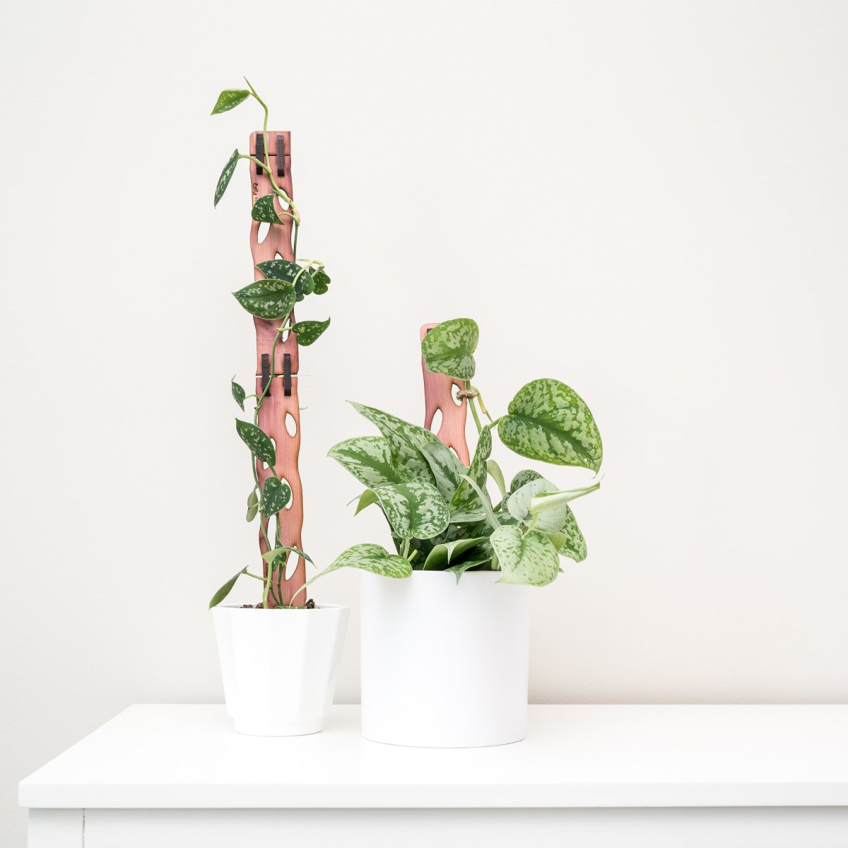  Wooden Extendable Plant Support & Trellis - Zella