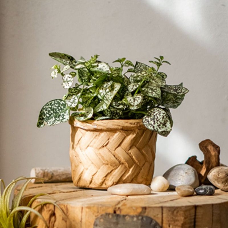  Woven Bamboo Styled Basket - Concrete - Various Sizes