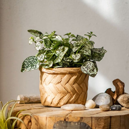  Woven Bamboo Styled Basket - Concrete - Various Sizes