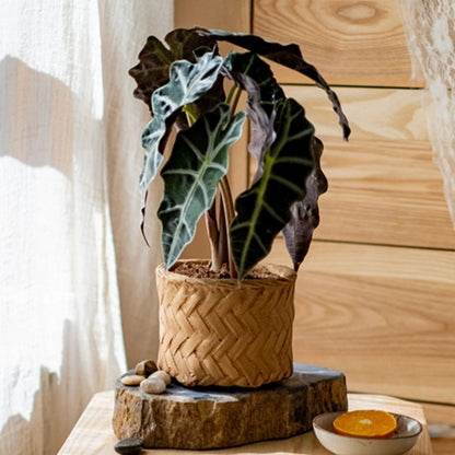  Woven Bamboo Styled Basket - Concrete - Various Sizes