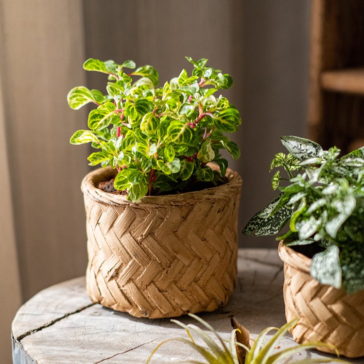  Woven Bamboo Styled Basket - Concrete - Various Sizes