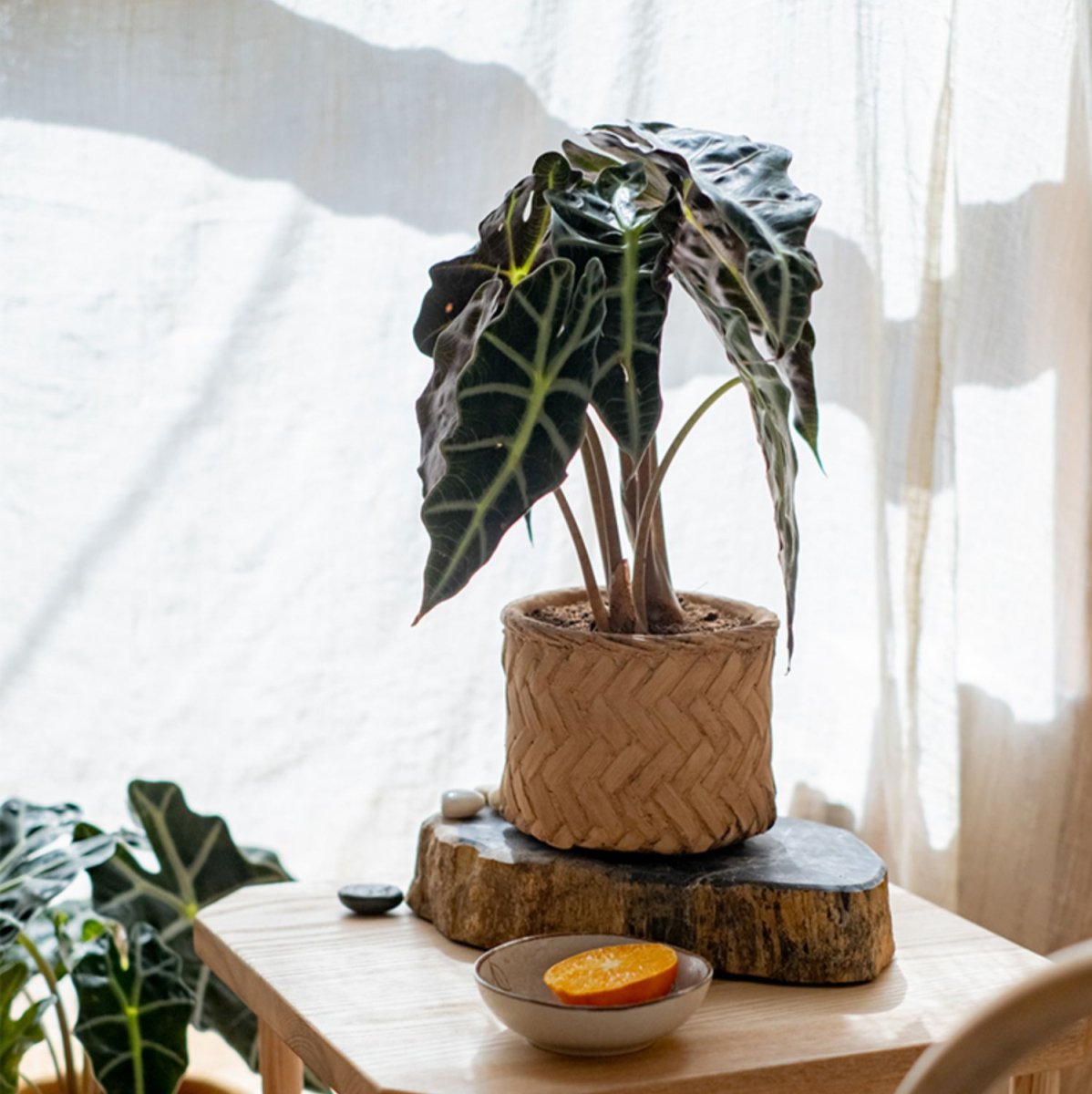  Woven Bamboo Styled Basket - Concrete - Various Sizes